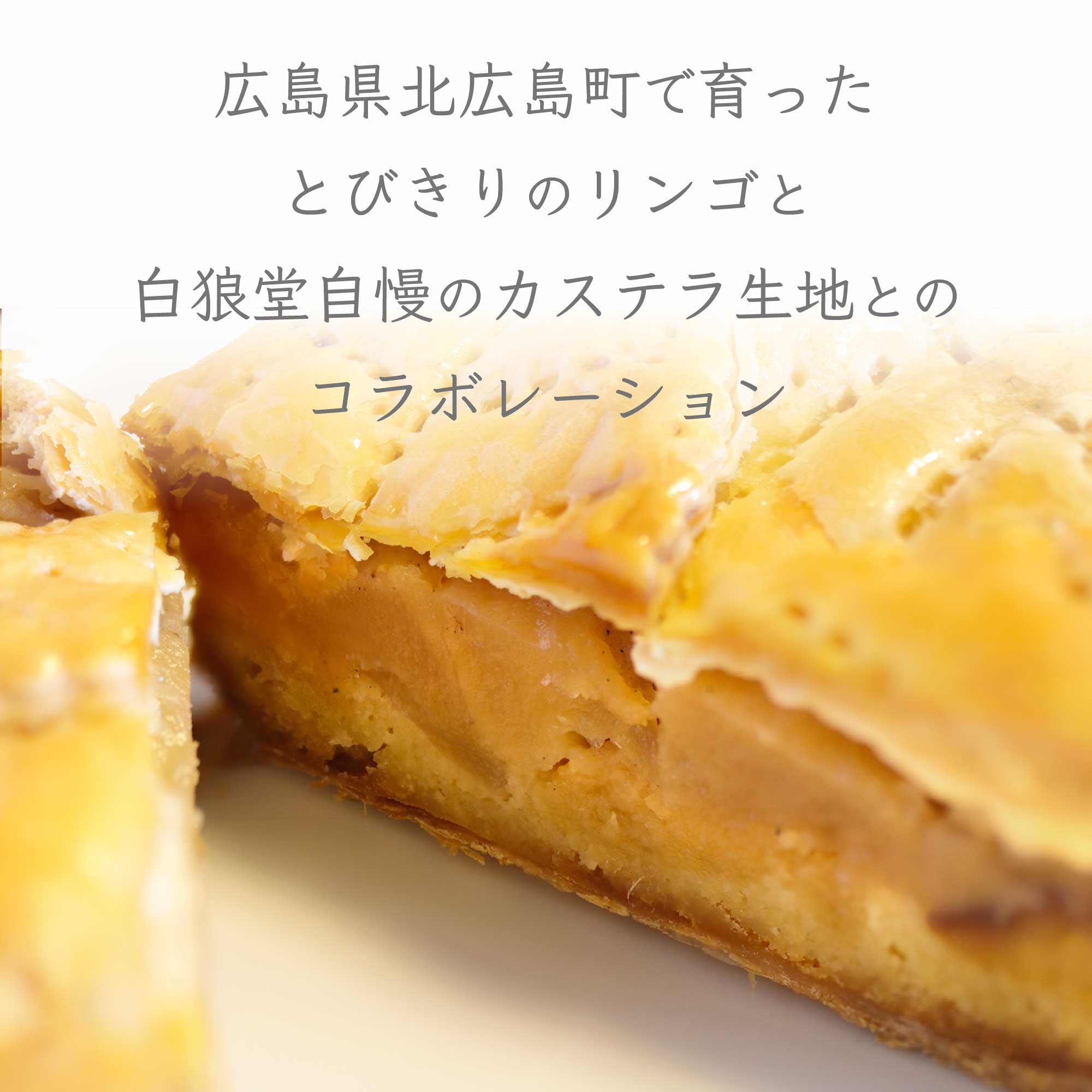 森の妖精の林檎パイ