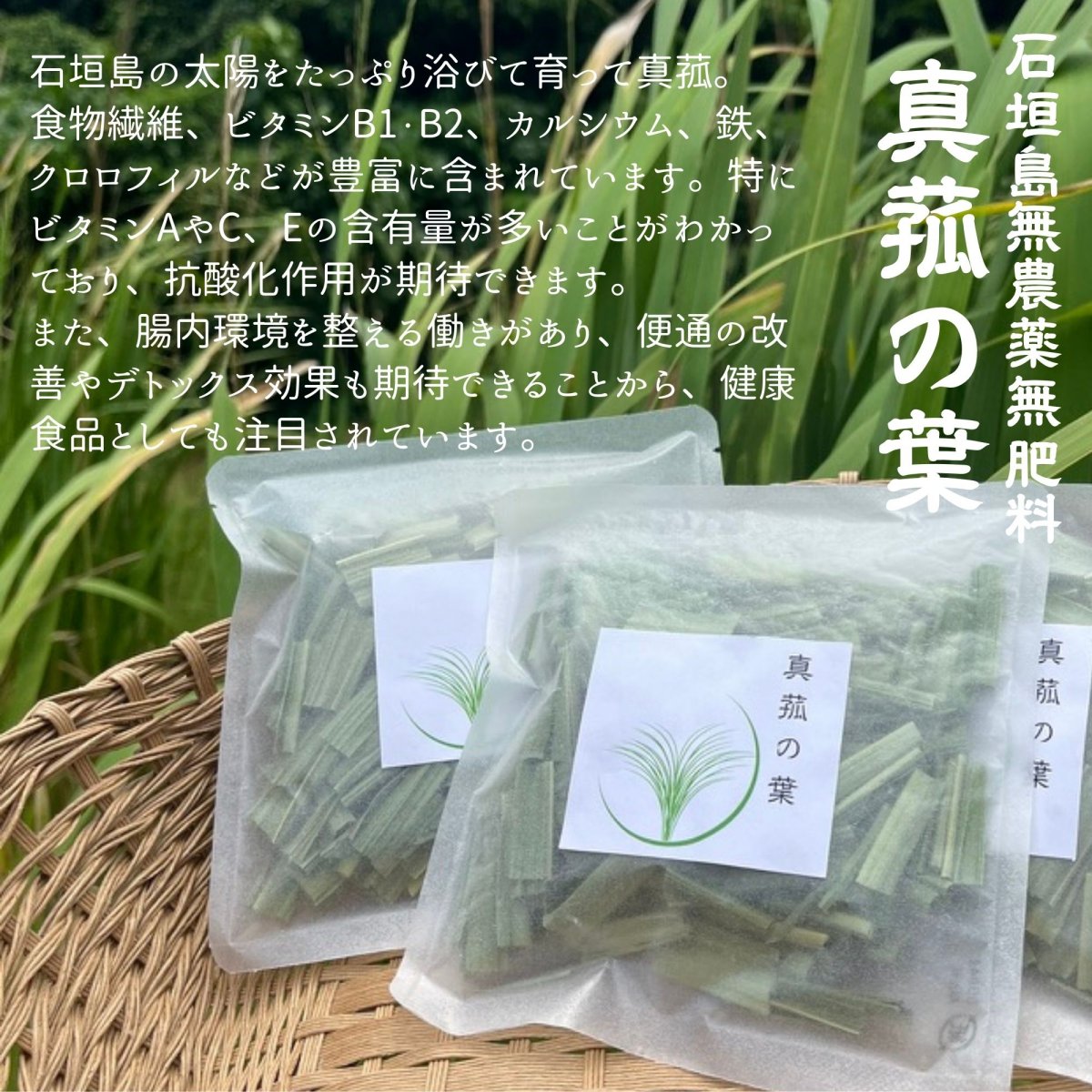★生栗★9キロ★中山産★無農薬★ゆうパック送料無料★ 石垣島無農薬米と真菰の葉、クラフトバッグの店｜はなさく（87