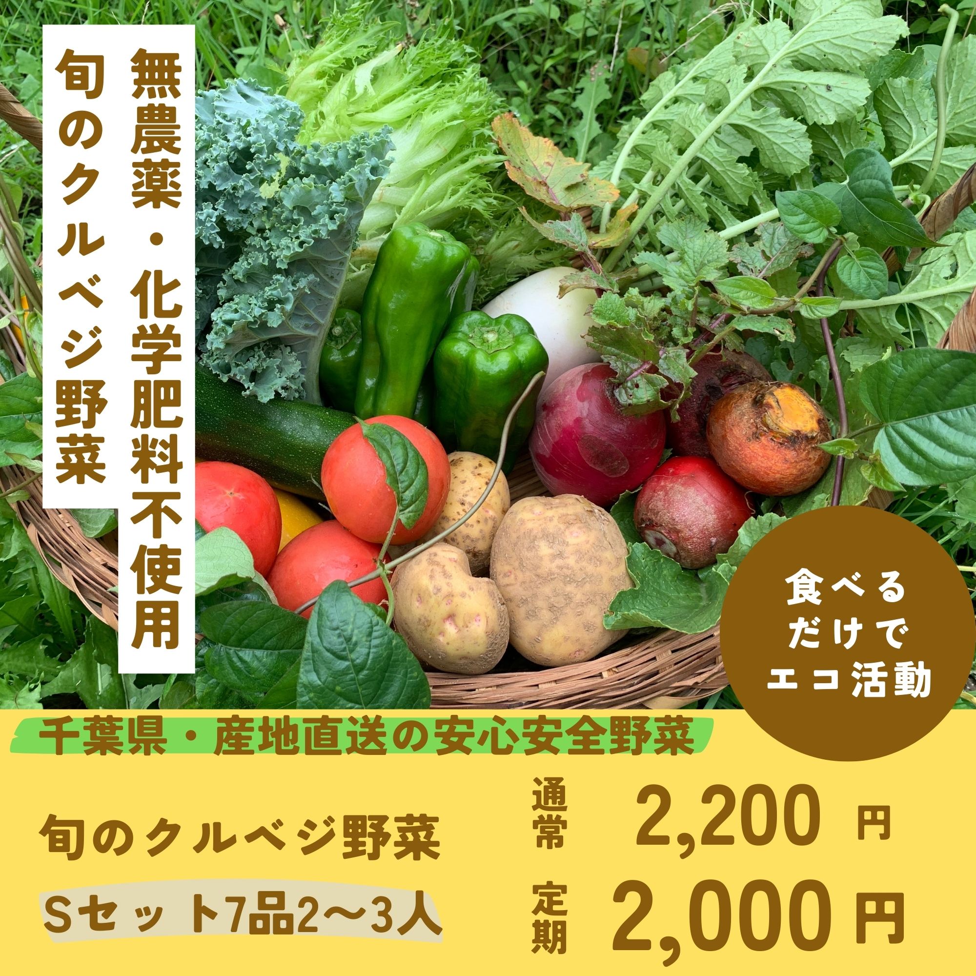 【Ｓセット７品２〜3人】「旬野菜クルベジセット」千葉県産の農薬・化学肥料不使用の安心安全のお野菜セットを全国発送。地球に優しい特別栽培 のクルベジ野菜で「食べるだけでエコ活動」を千葉県から全国へ広げています。