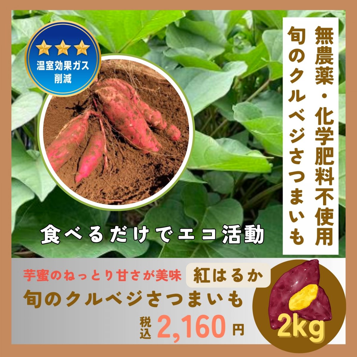 紅あずま・クルベジさつまいも/千葉県産の農薬・化学肥料不使用の安心安全のお野菜セット/地球に優しい特別栽培のクルベジ野菜で「食べるだけでエコ活動」