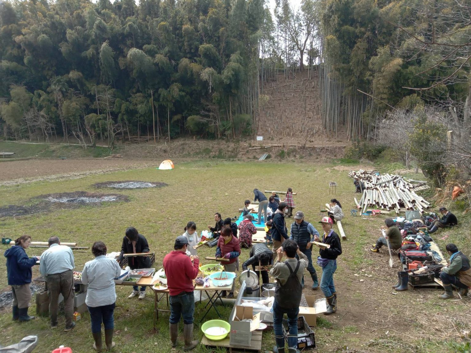 谷津田でクルベジお米作り