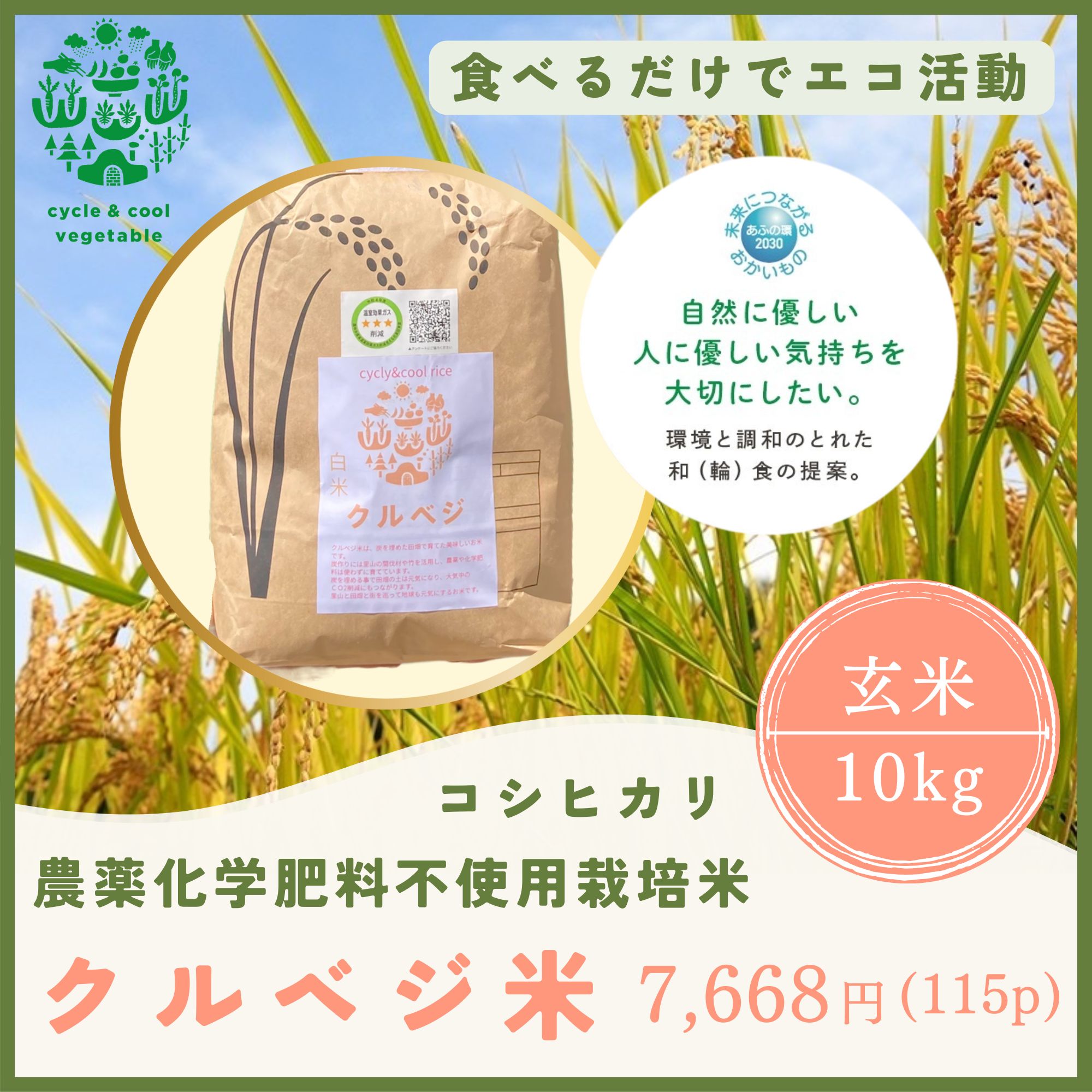 有機肥料米 10kg 令和6年産 コシヒカリ 千葉県の美味しい減農薬米