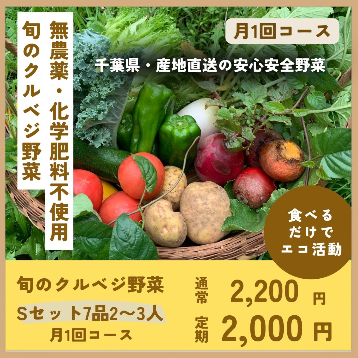 定期便【Ｓセット７品２〜3人】「旬野菜..