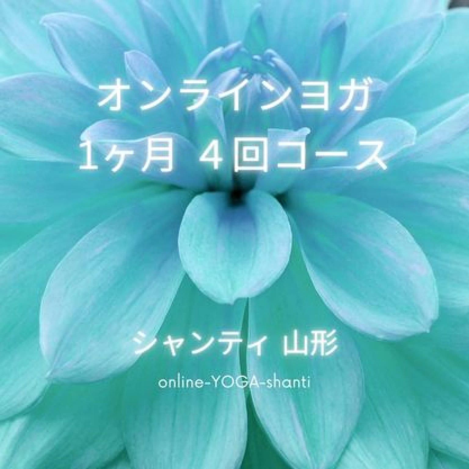 オンラインヨガ30分　1ヶ月4回コース　グループレッスン