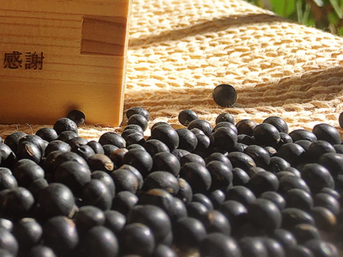 黒千石大豆 原種1kg 【メンバー限定商品】