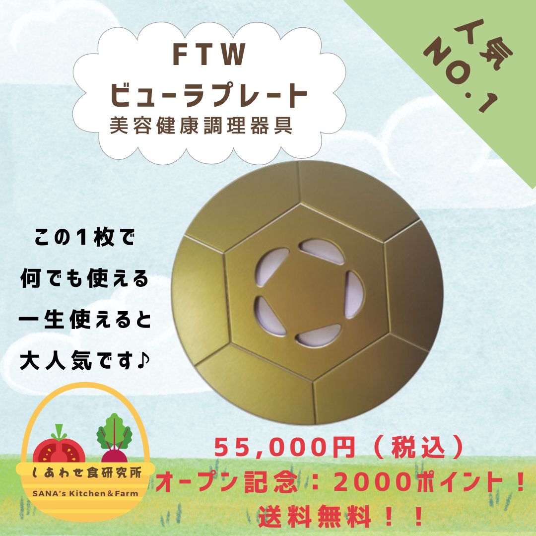 FTW ビューラプレート オマケに専用カバー付 - 健康アクセサリー