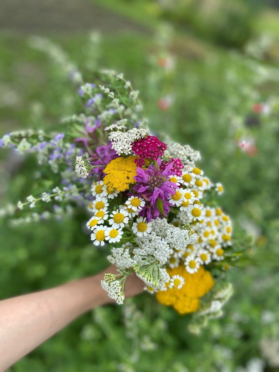 香りの花束～タッジーマッジーとアフタヌーンティ