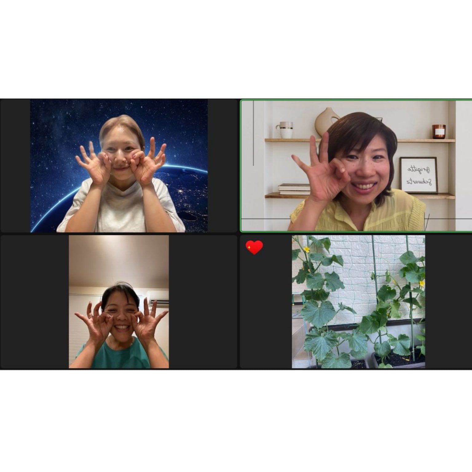 富崎様　６ヶ月　一括