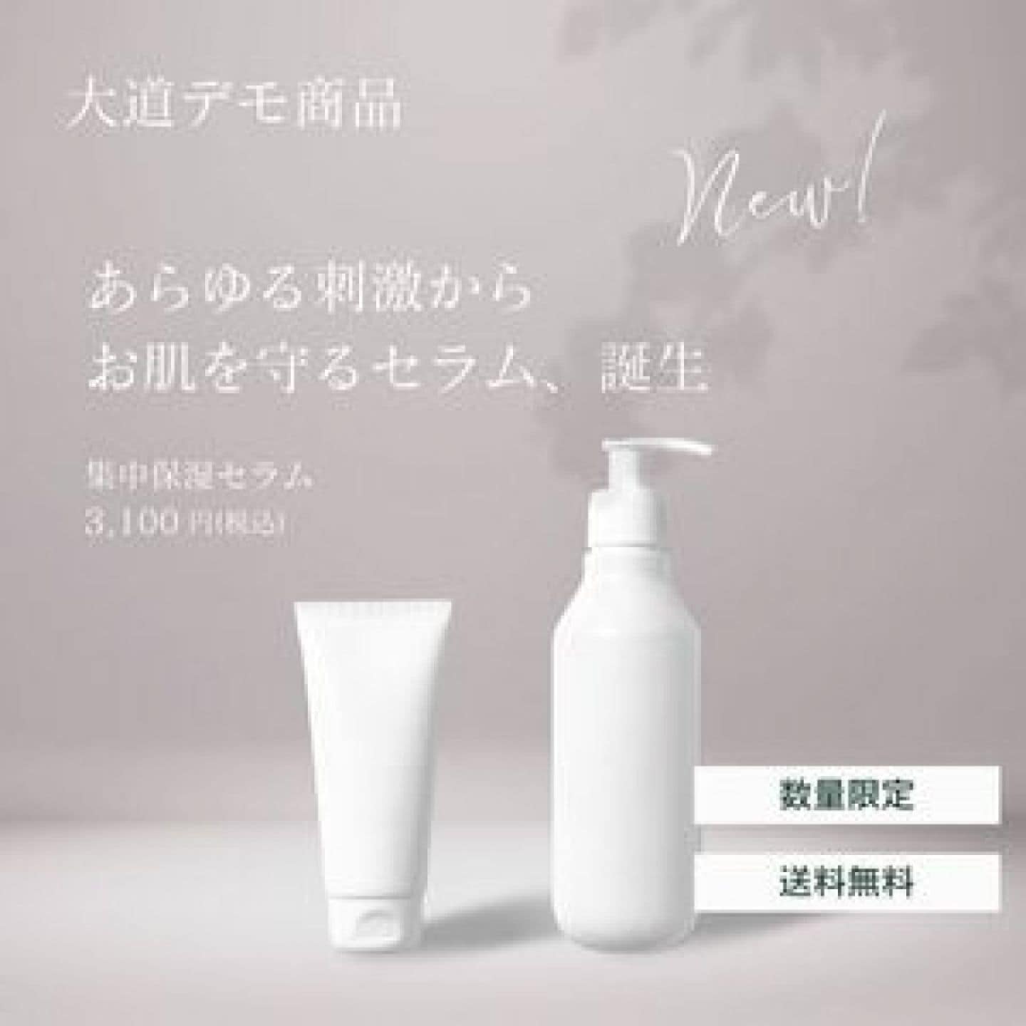 デモのチケット2