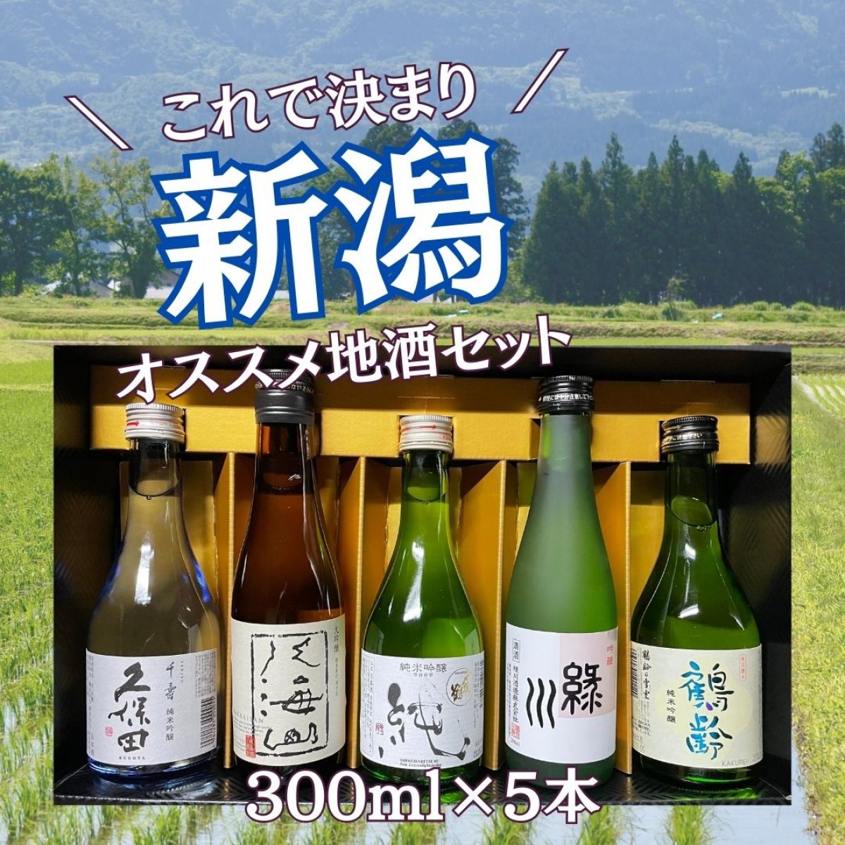 越後銘酒呑み比べセット 吟醸規格300mlセット