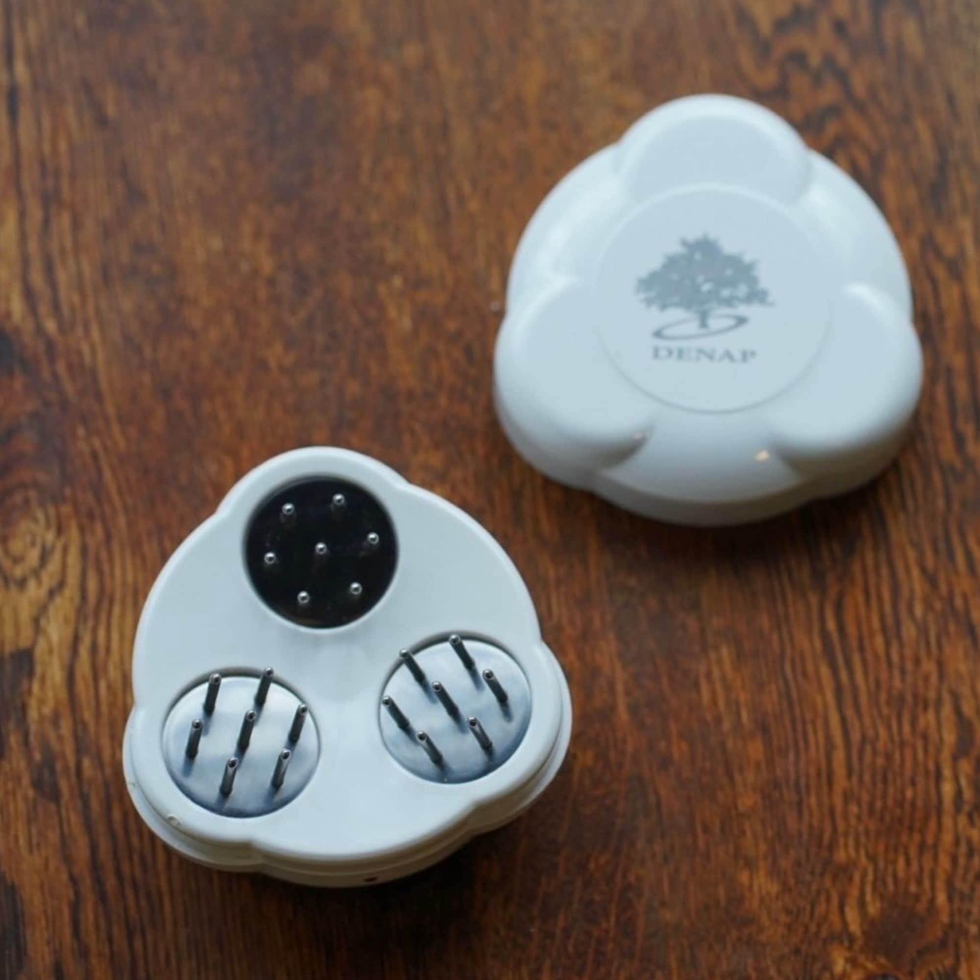 こどもからできるセルフケア】回帰流