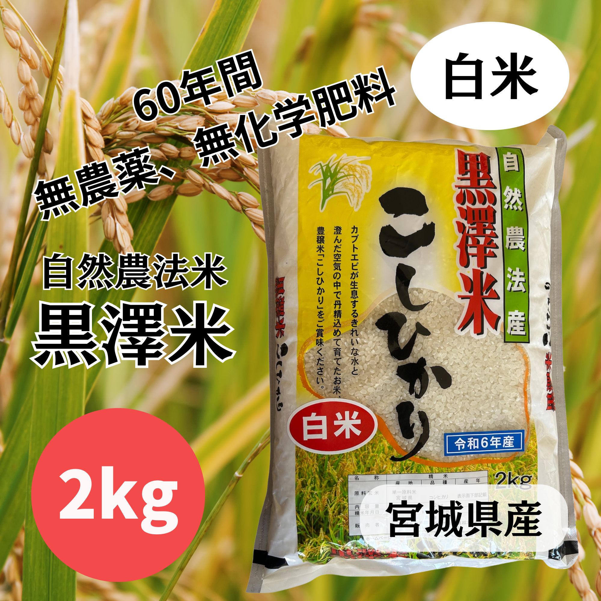 白米2キロ 無農薬・無化学肥料の自然農法米 黒澤米/こしひかり