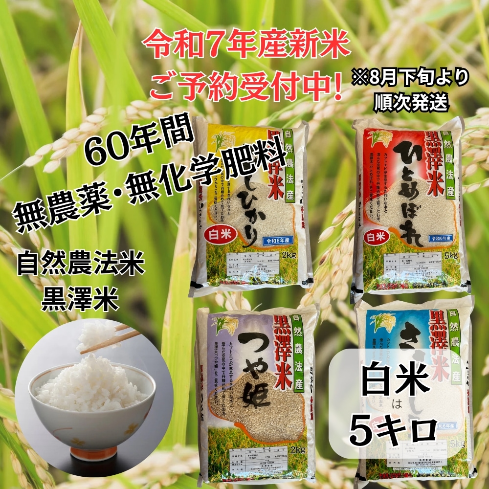 新米ご予約受付中！令和7年度米 白米5キロ無農薬・無化学肥料の
