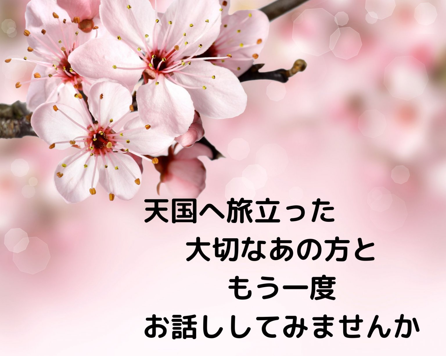 [【12/13中野　S様用　特別セッション】　霊視リーディング（10000円）