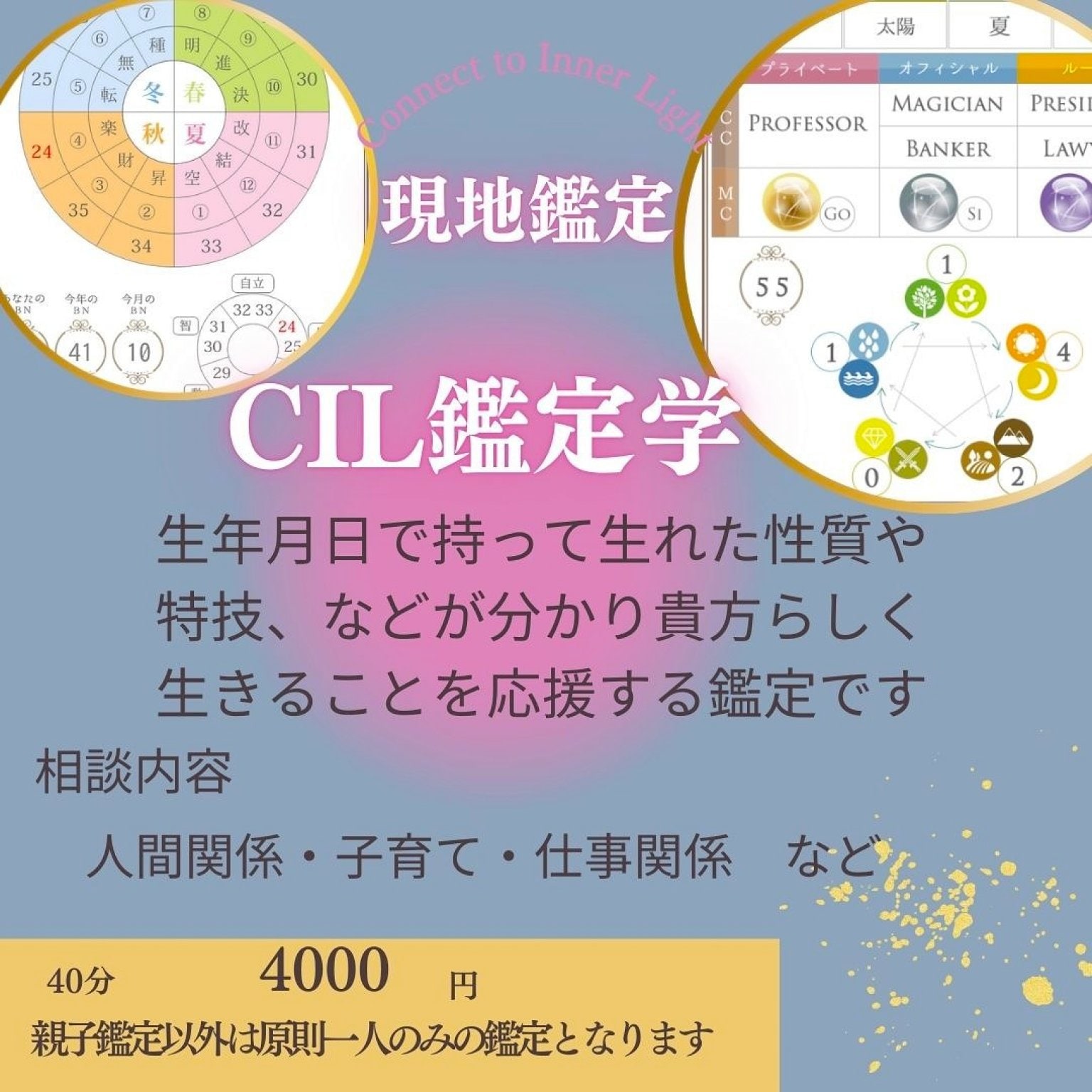 CIL鑑定学　