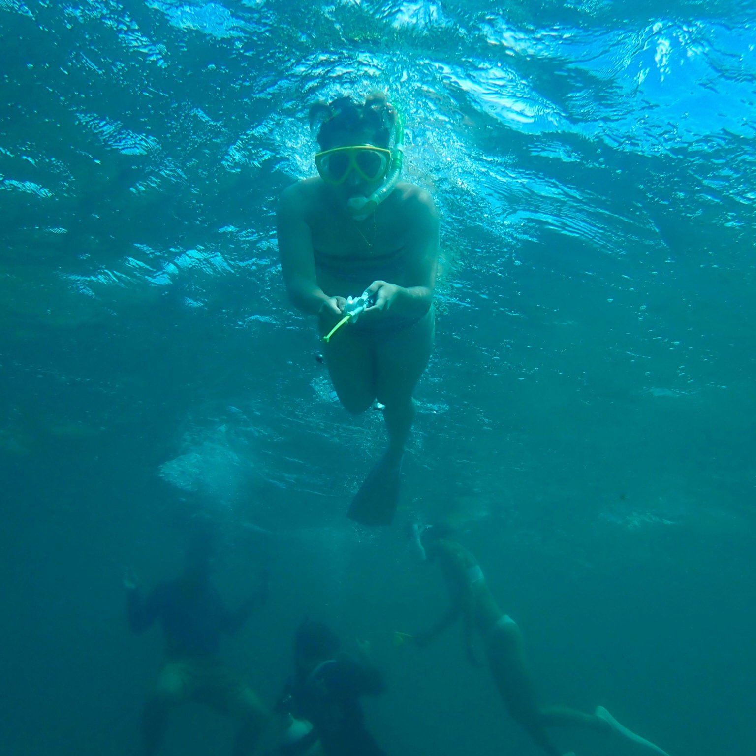 幻の島上陸＋半日シュノーケリングツアー｜初心者＆家族歓迎（大人用 13歳以上）