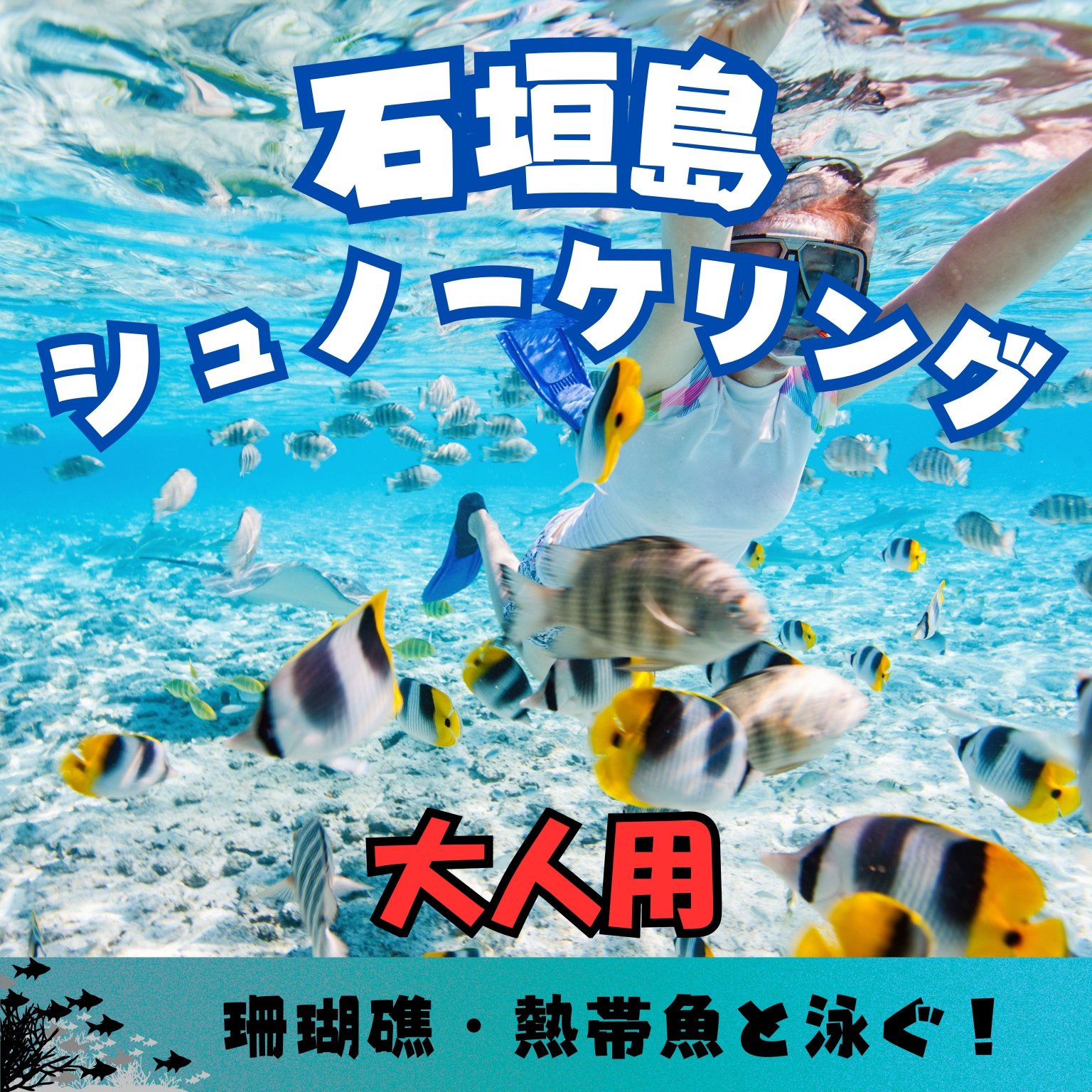 石垣島半日シュノーケリングツアー/大人用（13歳以上）
