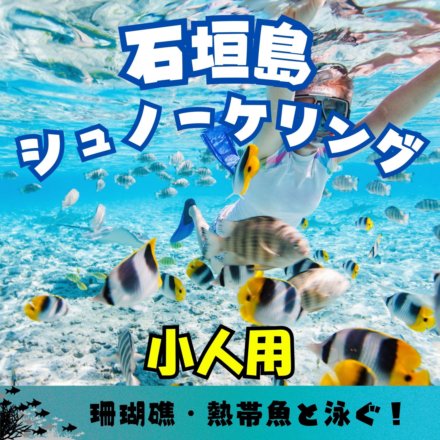 石垣島半日シュノーケリングツアー/小人用（3～12歳）