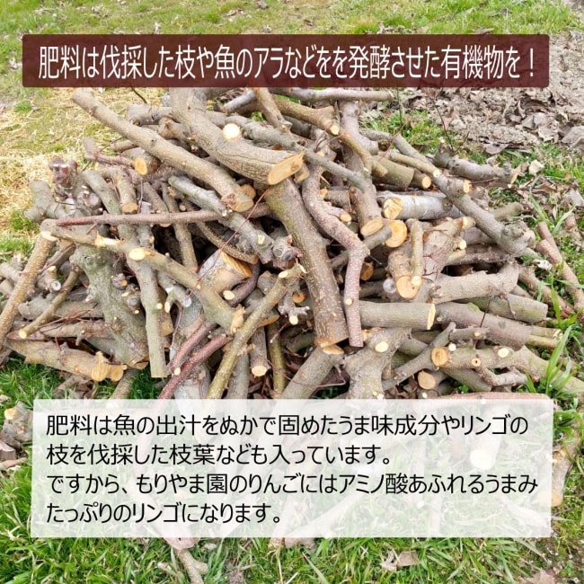 青森葉とらずりんご 爽やかな酸味が特徴【ジョナゴールド】3kg