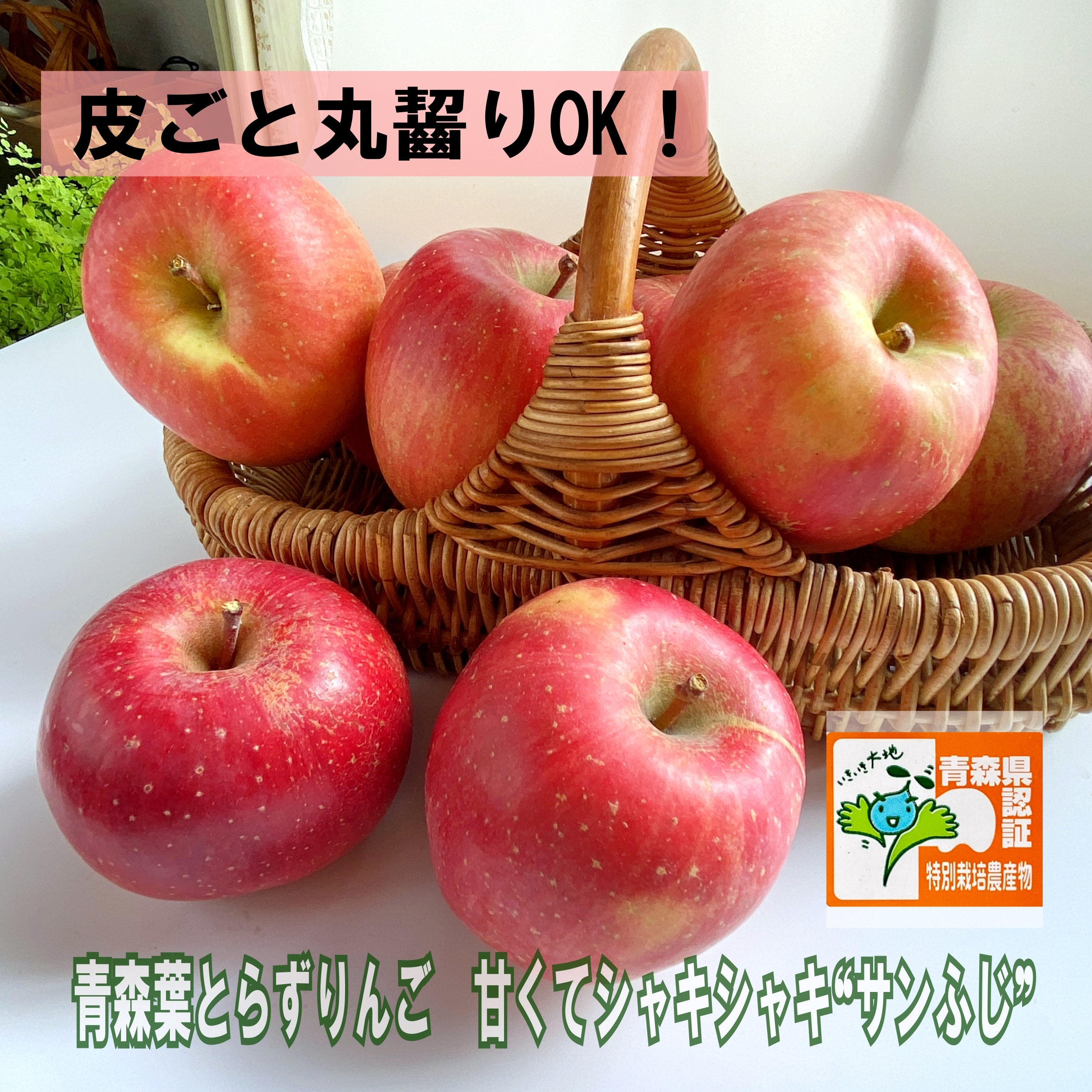 今シーズンは終了しました！青森葉とらずりんご 「もりやま園葉