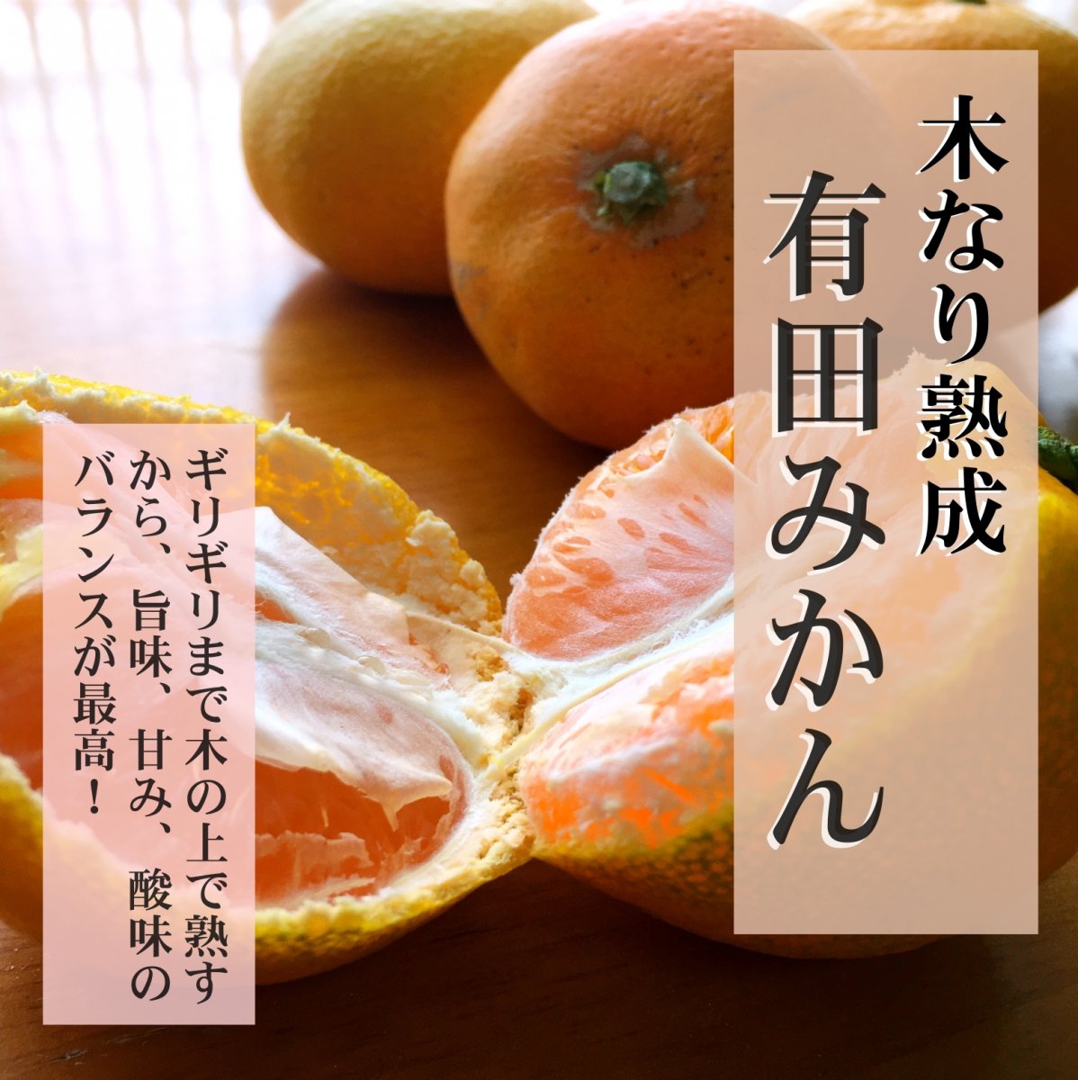 【年末年始ギフト 】!高糖度 みかん 岩武果樹園果樹園の有機減農薬有田みかん リピート率NO1【送料無料(北海道、離島除く)】和歌山県  皮ごと使える お歳暮ギフト 糖度12度〜 温州みかん エコファーマー (減農薬）