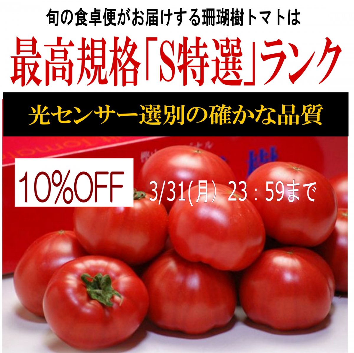 春のセール10%OFF ギフト 誰が食べても美味しいトマト！糖度10度以上の珊瑚樹トマトS特選 1kg 12~24玉 徳島産 産地直送 フルーツトマト  旨い ジューシー 果汁たっぷり