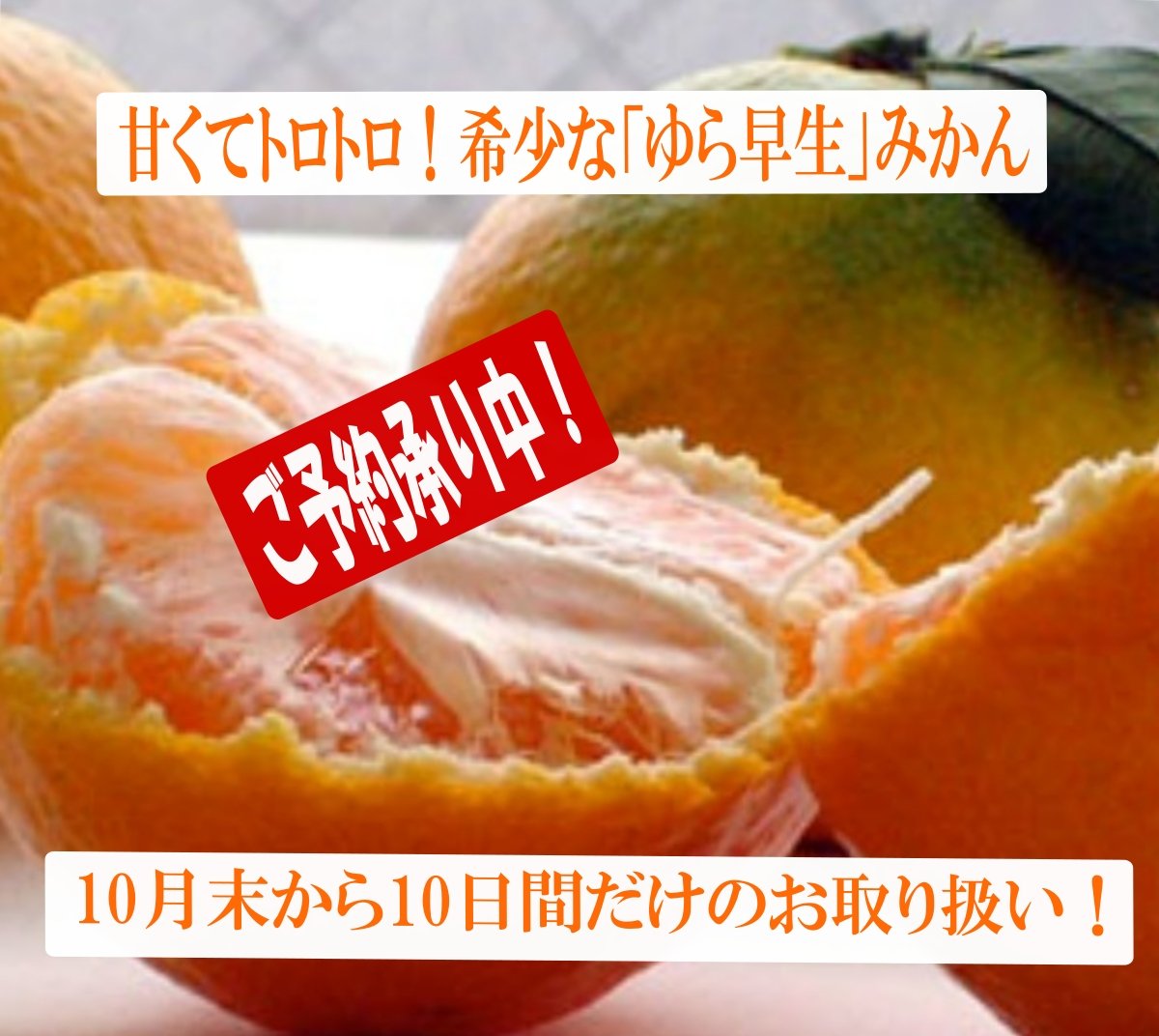 甘くてトロットロ ゆら早生みかん3kg 数量・期日限定！わずか10日間で終了 甘い 温州みかん 高糖度 エコファーマー 減農薬 高糖度 有田みかん リピート率NO1 産地直送