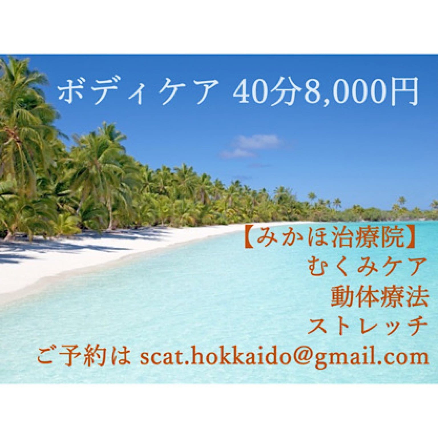 ベーシックプラン