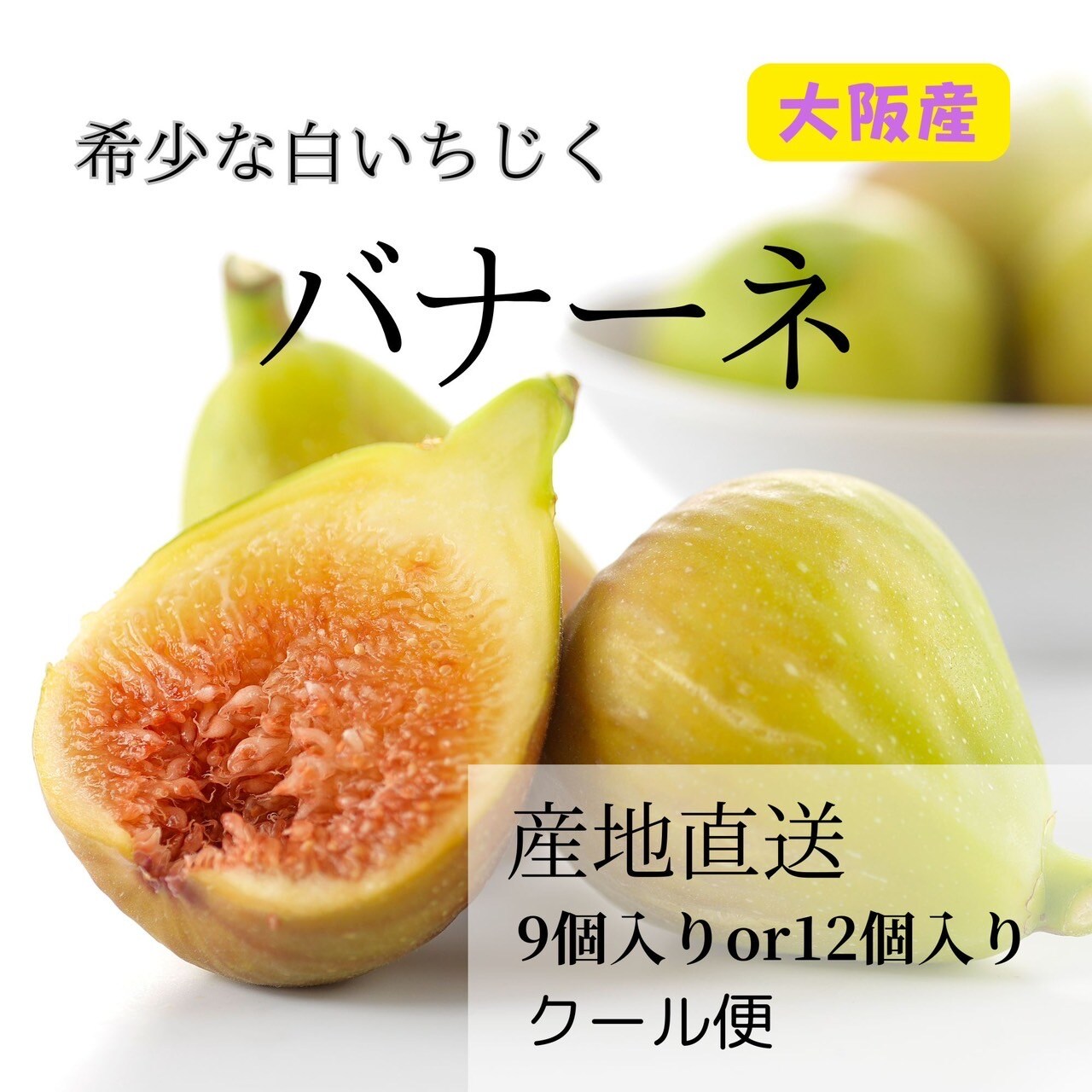 産地直送】大阪産朝採れ白イチジク（バナーネ）9個入りor12個入り 