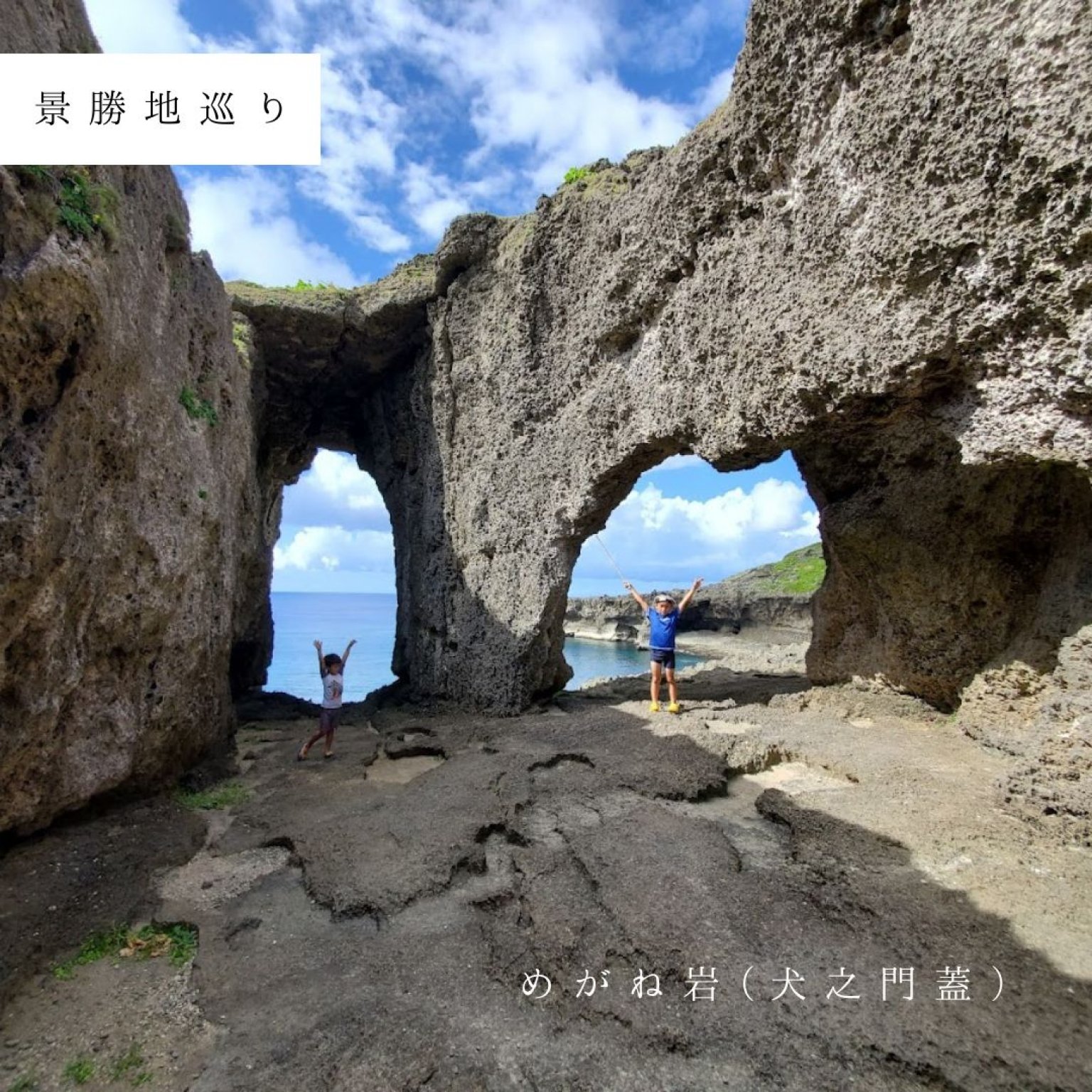 一日・7時間コース(2～4名様用)じっくり満喫できます!! ※参加人数分ご購入ください