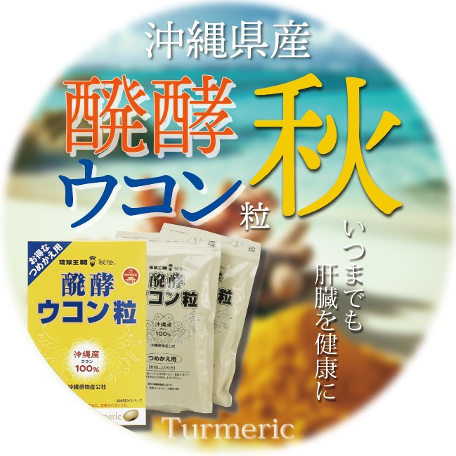 醗酵ウコン粒 詰替え用パック 1000粒(500粒×2袋入)*7箱 【公式通販】