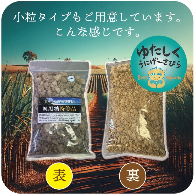 さとうきびの最高峰 !!! 【特等品】日本最南端 波照間島純黒糖