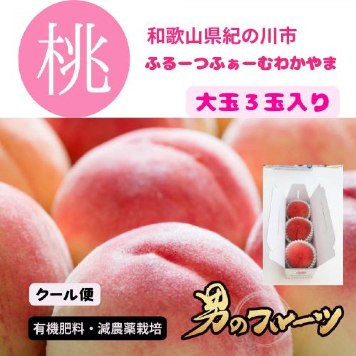 2025年度産予約スタート！！【高ポイント還元】旬の桃🍑(有機肥料・減農薬栽培)和歌山県紀の川市産手さげ箱大玉３玉入り/送料込み（一部地域を除く）/クール便でお届け　7月上旬より順次発送