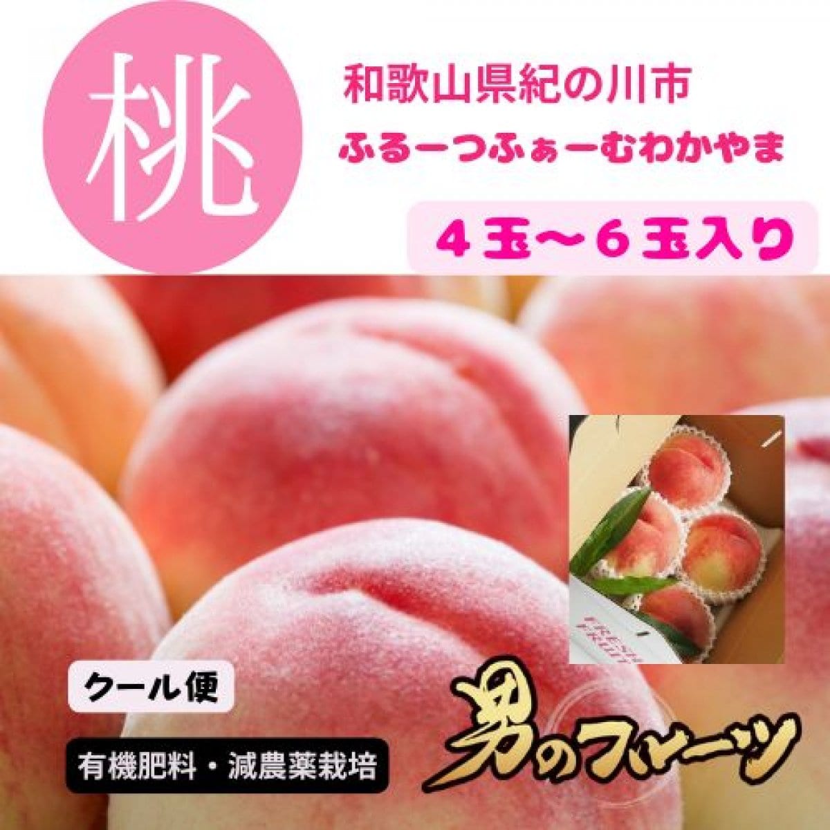 2025年度産予約販売スタート【高ポイント還元】旬の桃🍑(有機肥料・減農薬栽培)和歌山県紀の川市産手さげ箱４〜6玉入り/送料込み/クール便でお届け（一部地域を除く）7月上旬より順次発送