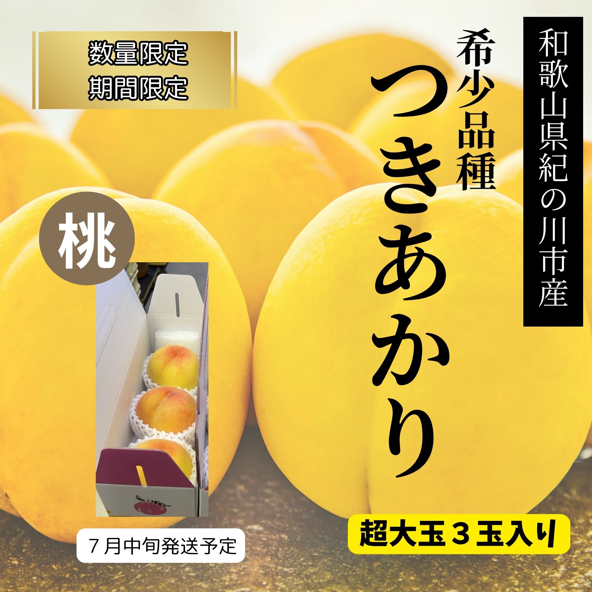 かたい色つき桃9キロ いろもよう 光彩 専用インキ 桃色|SAC-8G-LP/H|商品カタログ