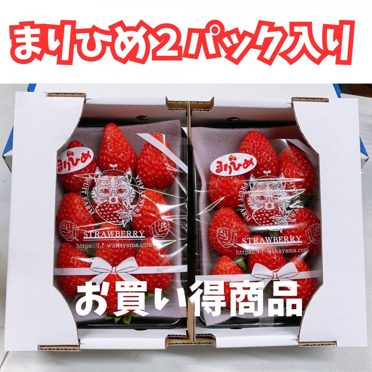 予約スタート！【お買い得商品・高ポイント還元】和歌山県限定品種　まりひめいちご(８〜15個)×２パック　和歌山県紀の川市産(有機肥料・減農薬栽培)クール便でお届け/2025年１２月〜順次発送/送料込み(北海道・北東北・沖縄除く)