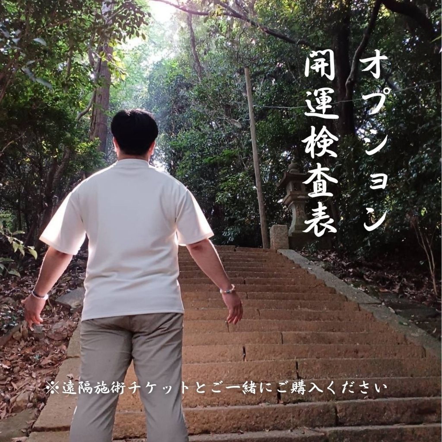 オプション/開運検査表