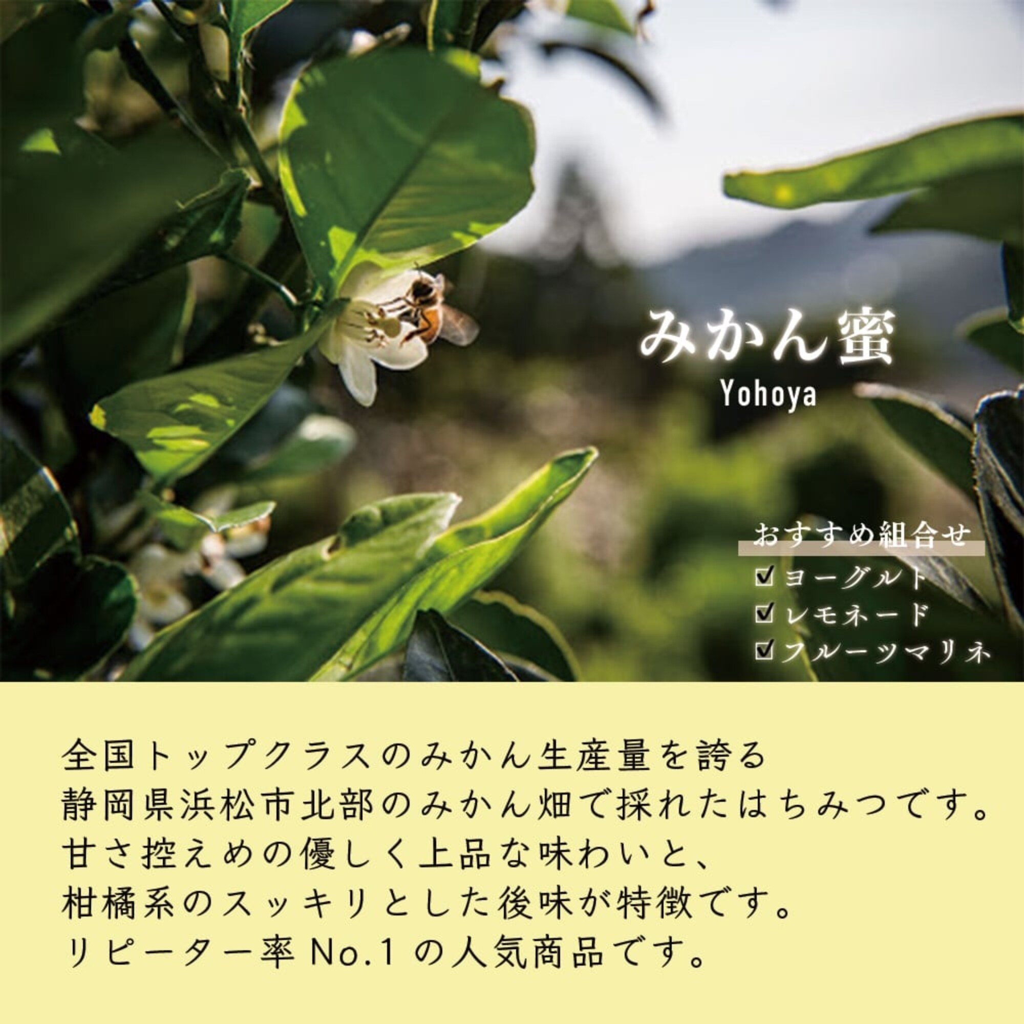 2024年新蜜】国産みかん蜂蜜 ［瓶タイプ］ 450g | 非加熱 | 抗生