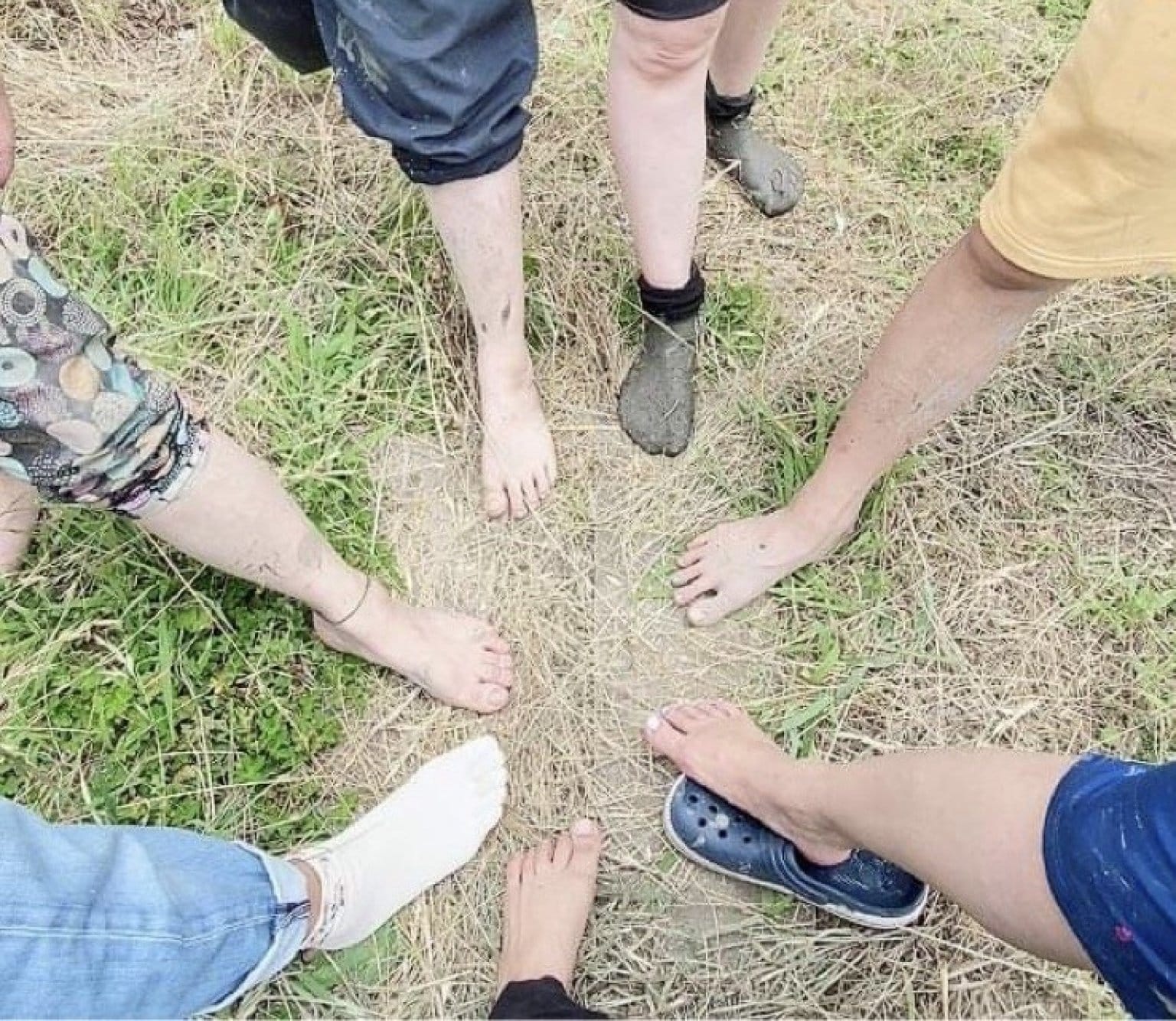 【リクエスト受付中】田んぼの中に答えがある～こめる農園＊体験会予約サイト～
