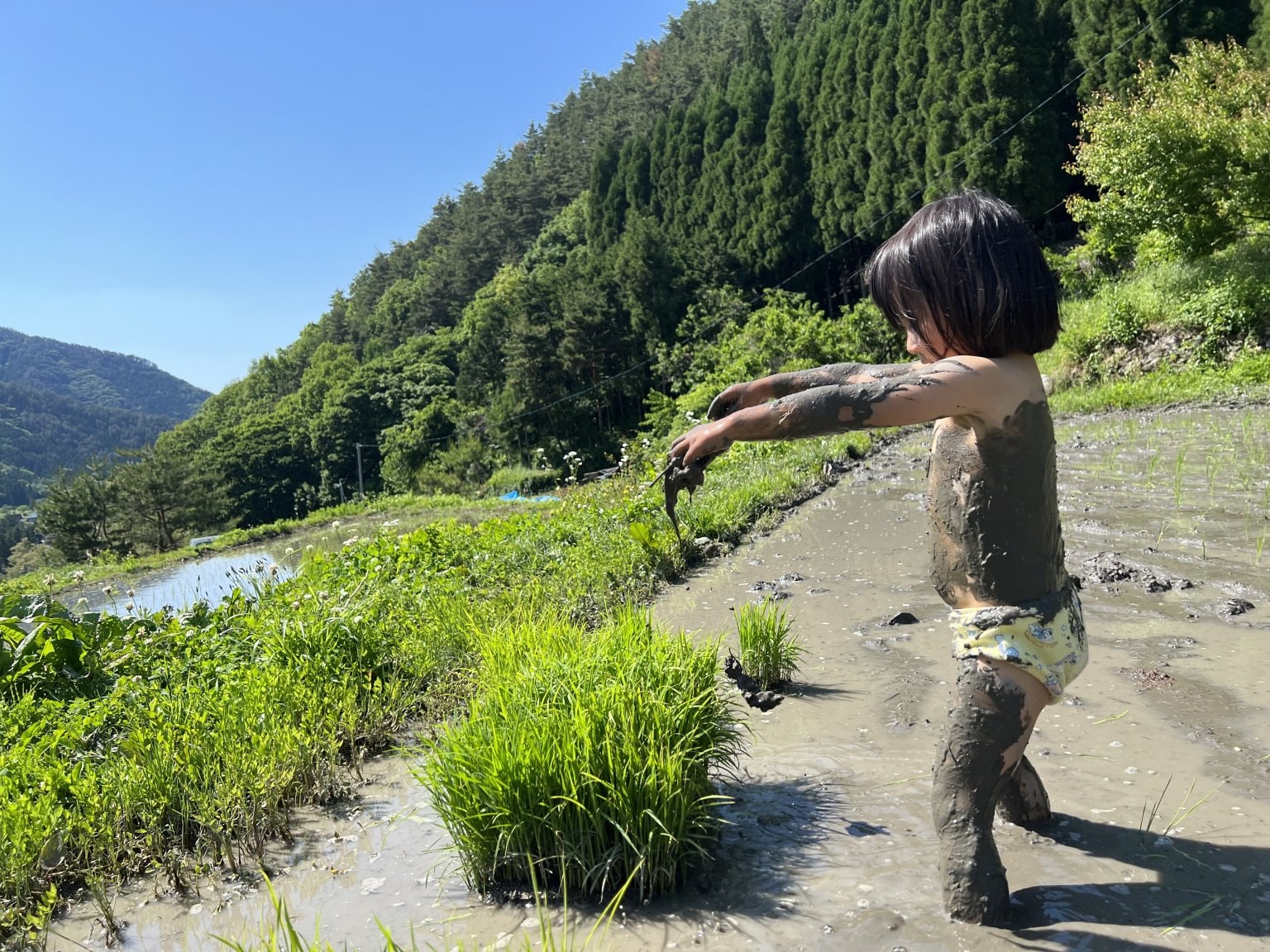 【リクエスト受付中】田んぼの中に答えがある～こめる農園＊体験会予約サイト～