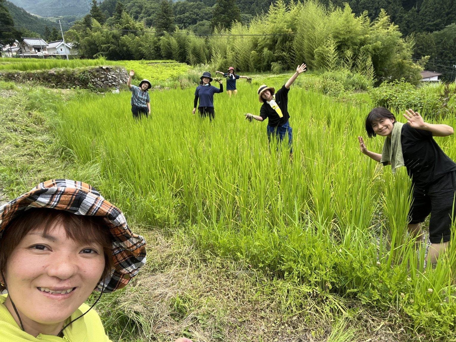 【リクエスト受付中】田んぼの中に答えがある～こめる農園＊体験会予約サイト～