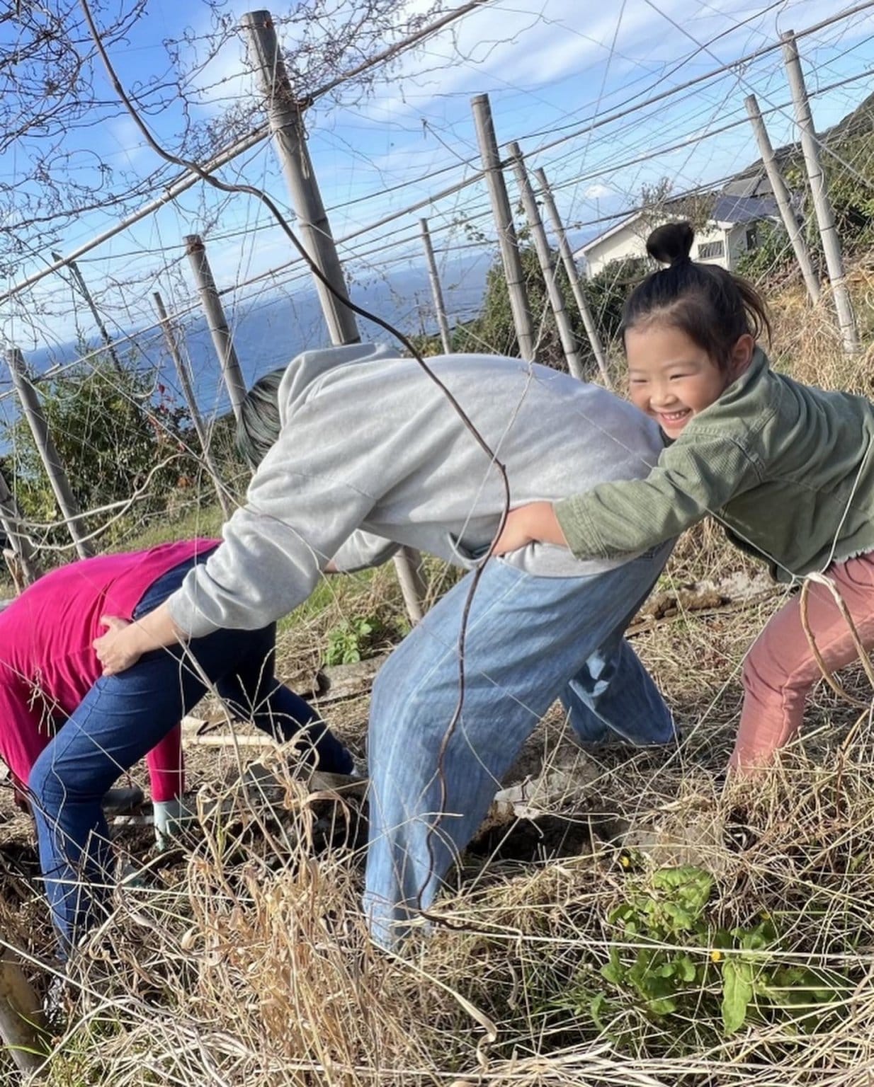 12月22日〜1月5日開催！(午後の部 子供用)自然生収穫・調理・試食体験 横須賀市秋谷 現地払い