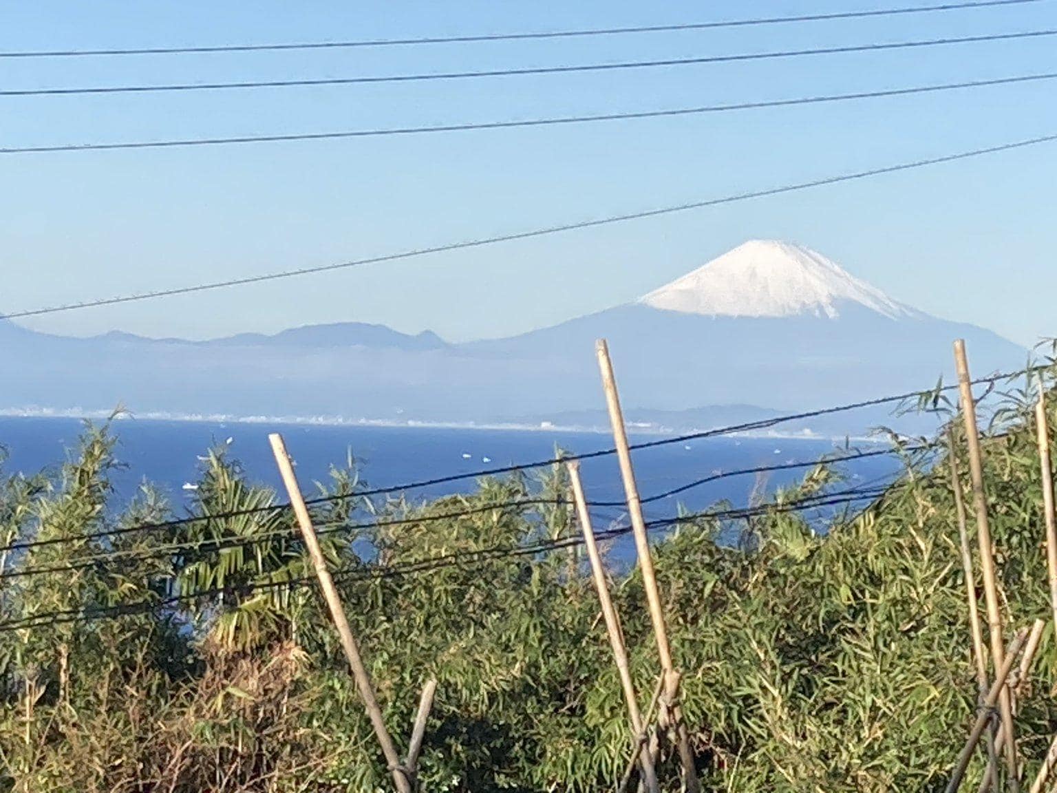 12月22日〜1月5日開催！(午後の部 子供用)自然生収穫・調理・試食体験 横須賀市秋谷 現地払い