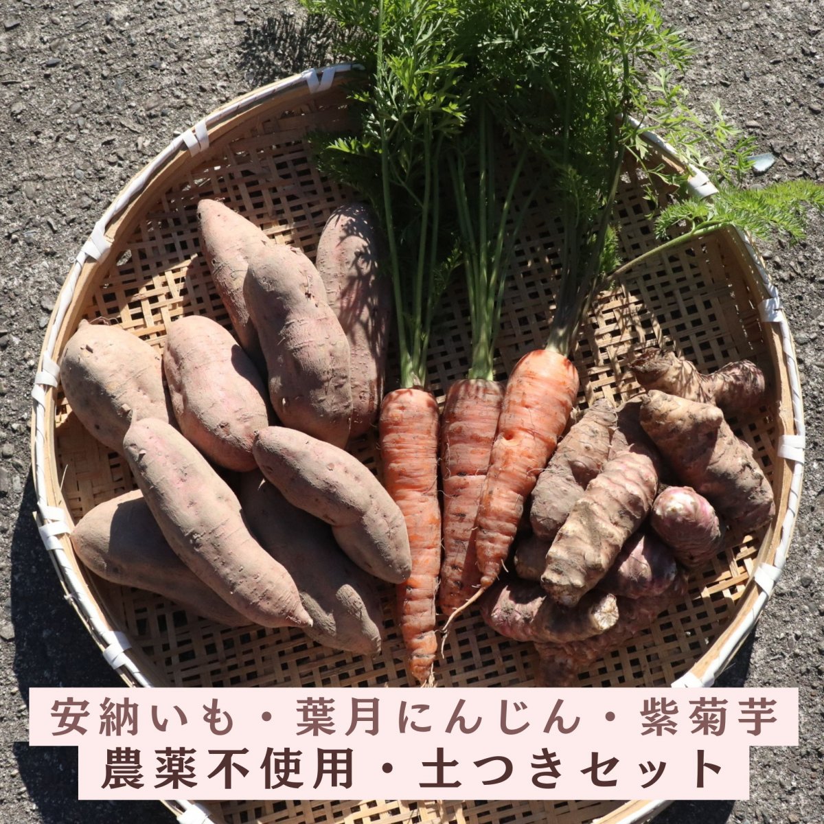 ２kg・紫菊芋・２kg・安納芋・葉つき人参３本・農薬不使用・土つきセット
