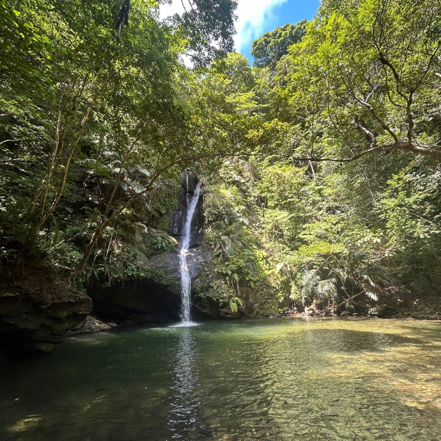Lienfarmと巡る 沖縄の薬草と文化に触れる癒しのリトリート 【Roomタイプ : ヴィラ】