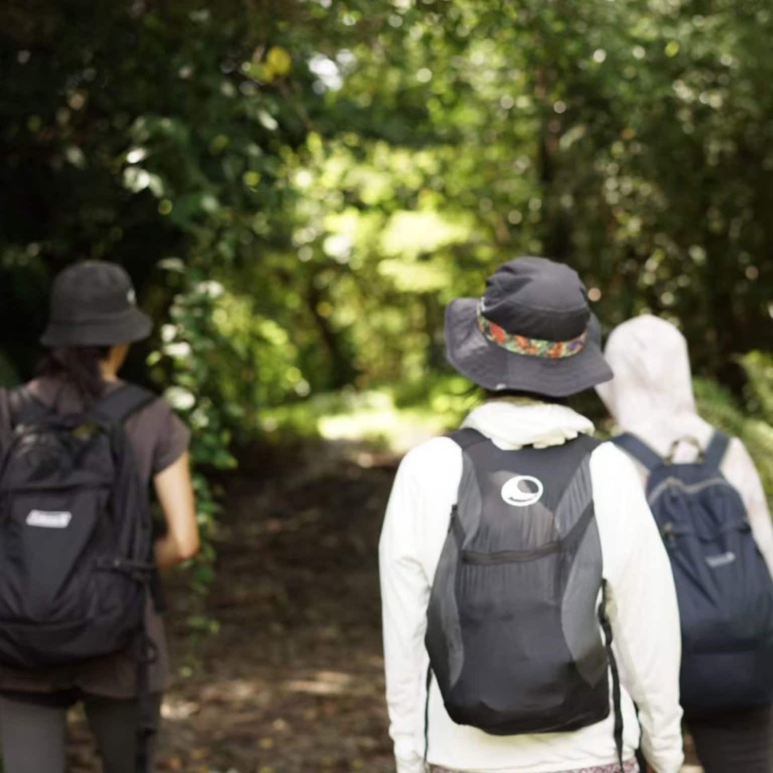 Lienfarmと巡る 沖縄の薬草と文化に触れる癒しのリトリート 【Roomタイプ : ヴィラ】