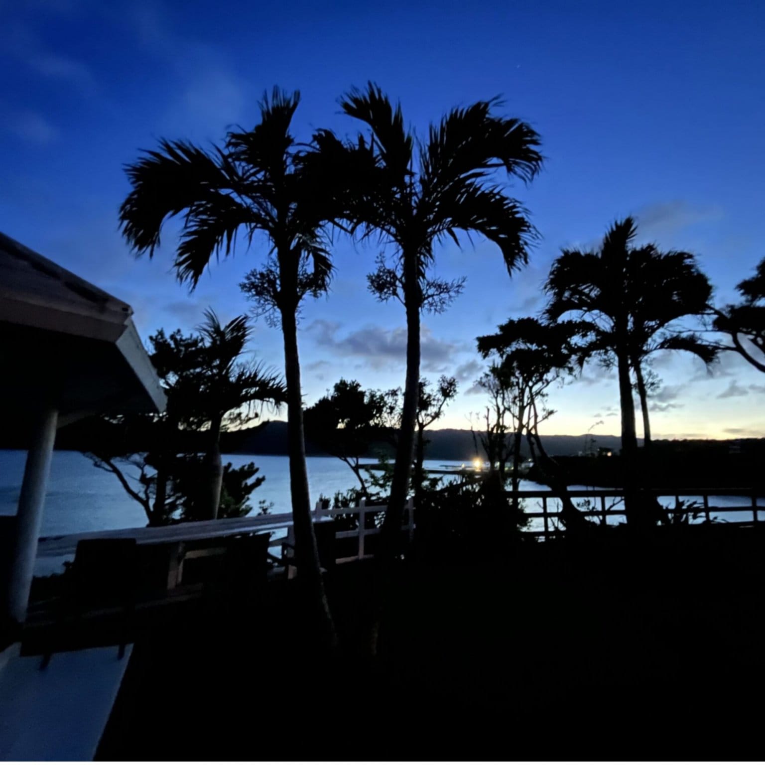 Lienfarmと巡る 沖縄の薬草と文化に触れる癒しのリトリート 【Roomタイプ : ヴィラ】