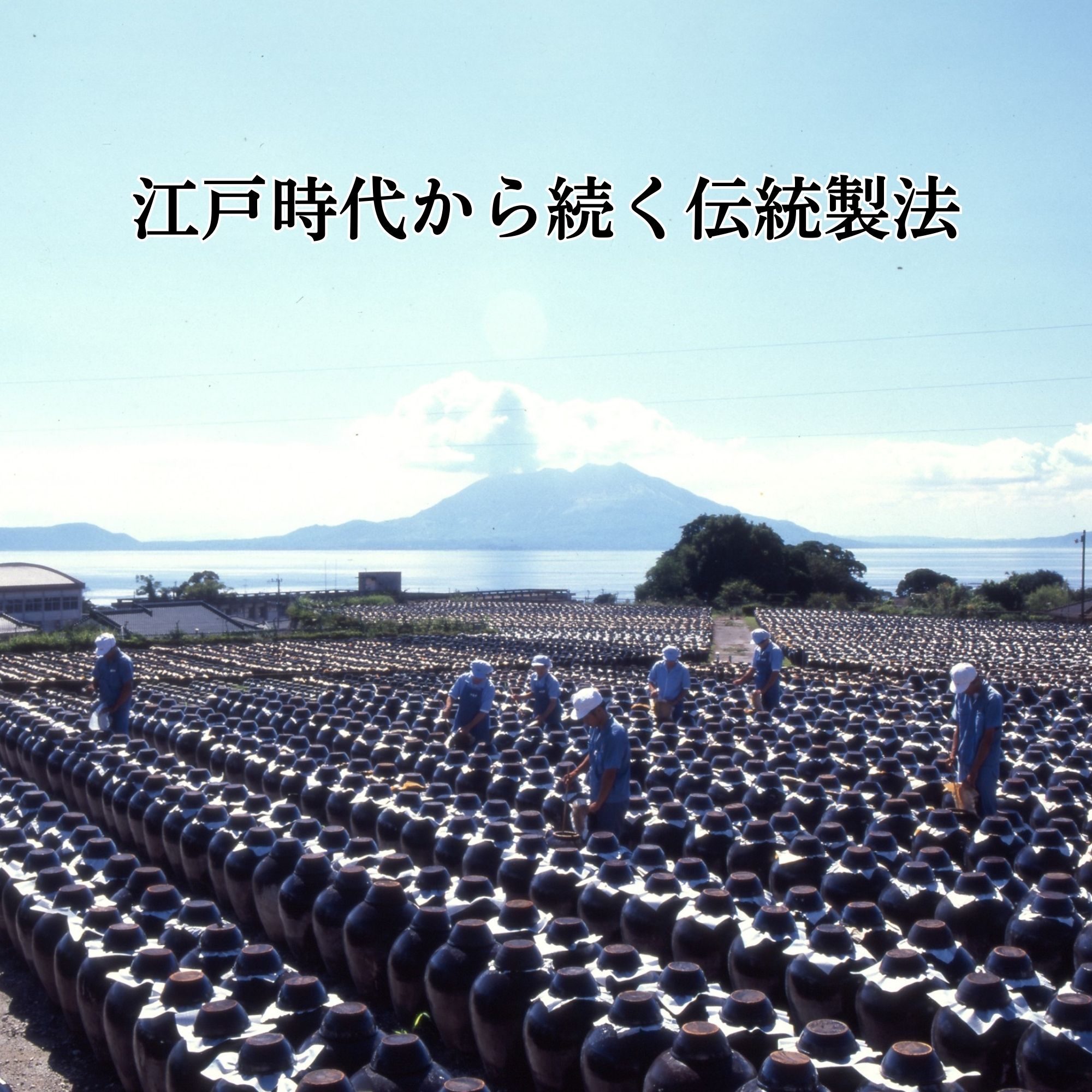 田川亞希 ／ 地蔵壺 | はちみせ （83）