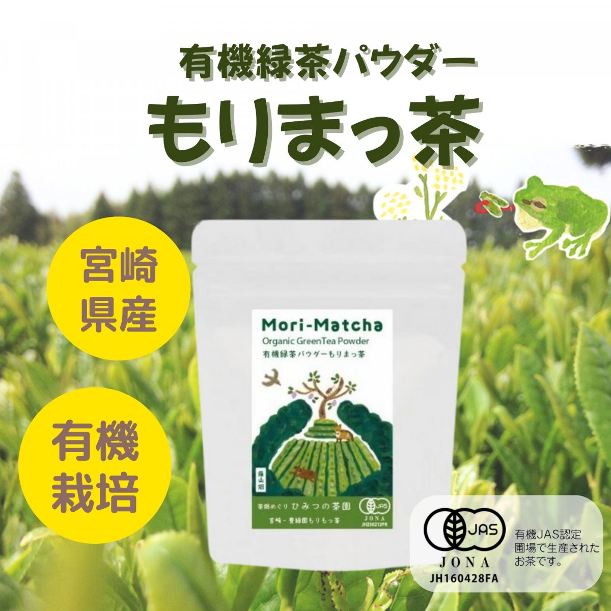 画像