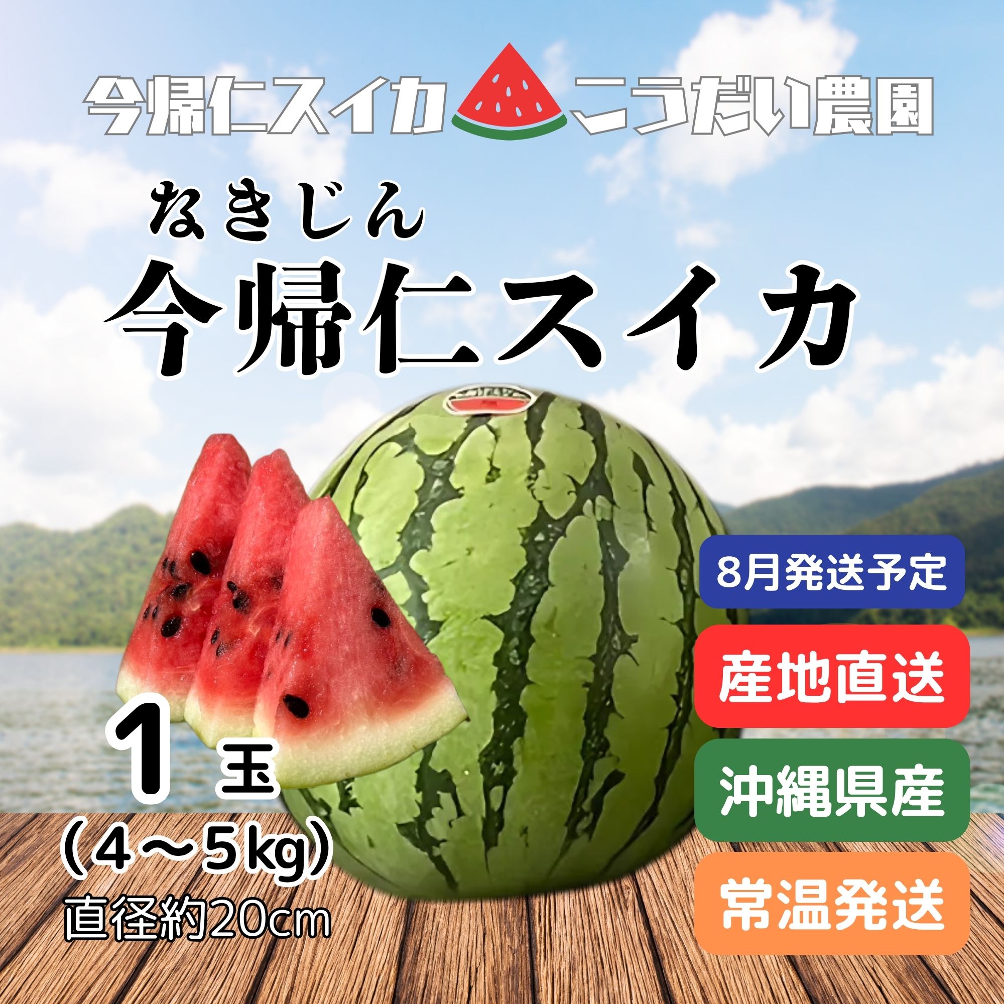 予約販売 | 種の少ないスイカ】沖縄産今帰仁スイカ1玉（4〜5kg